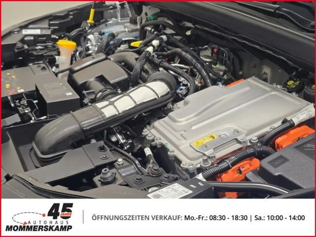 Mitsubishi Grandis