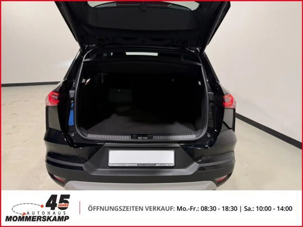 Mitsubishi Grandis