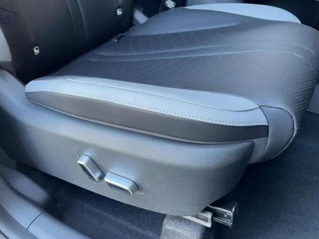 BYD Dolphin Surf
