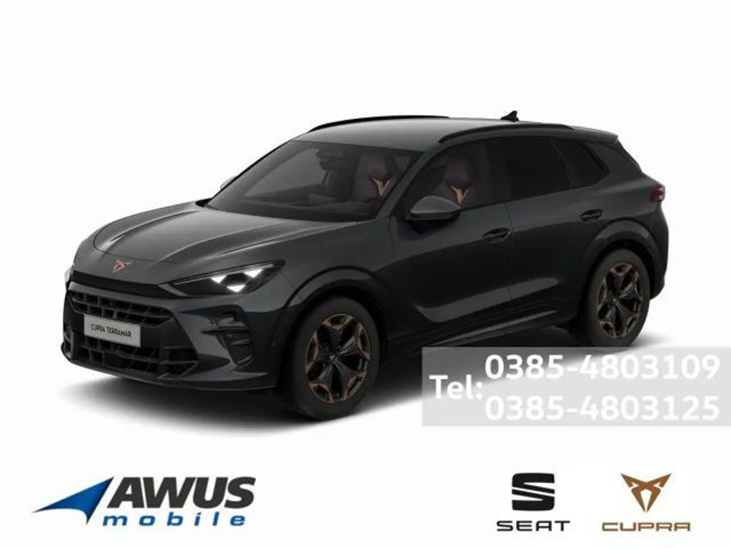 Cupra Terramar 1.5eTSI DSG AHK