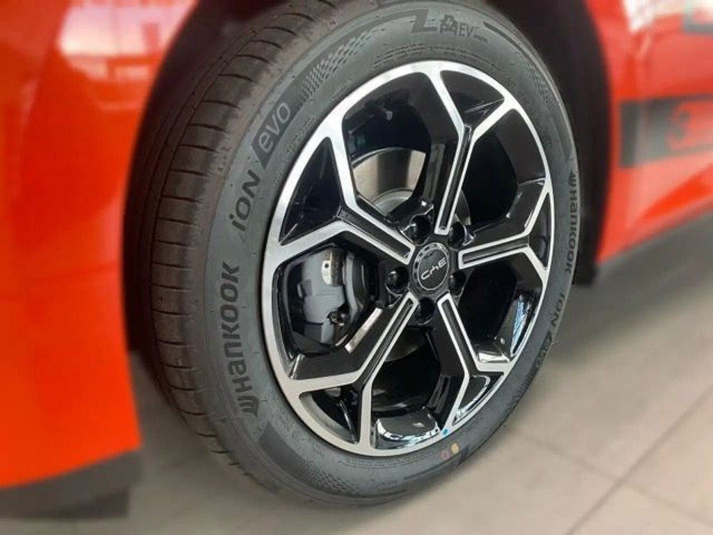 BYD Dolphin G