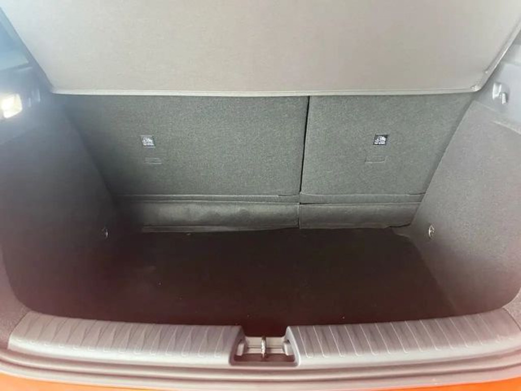 BYD Dolphin G