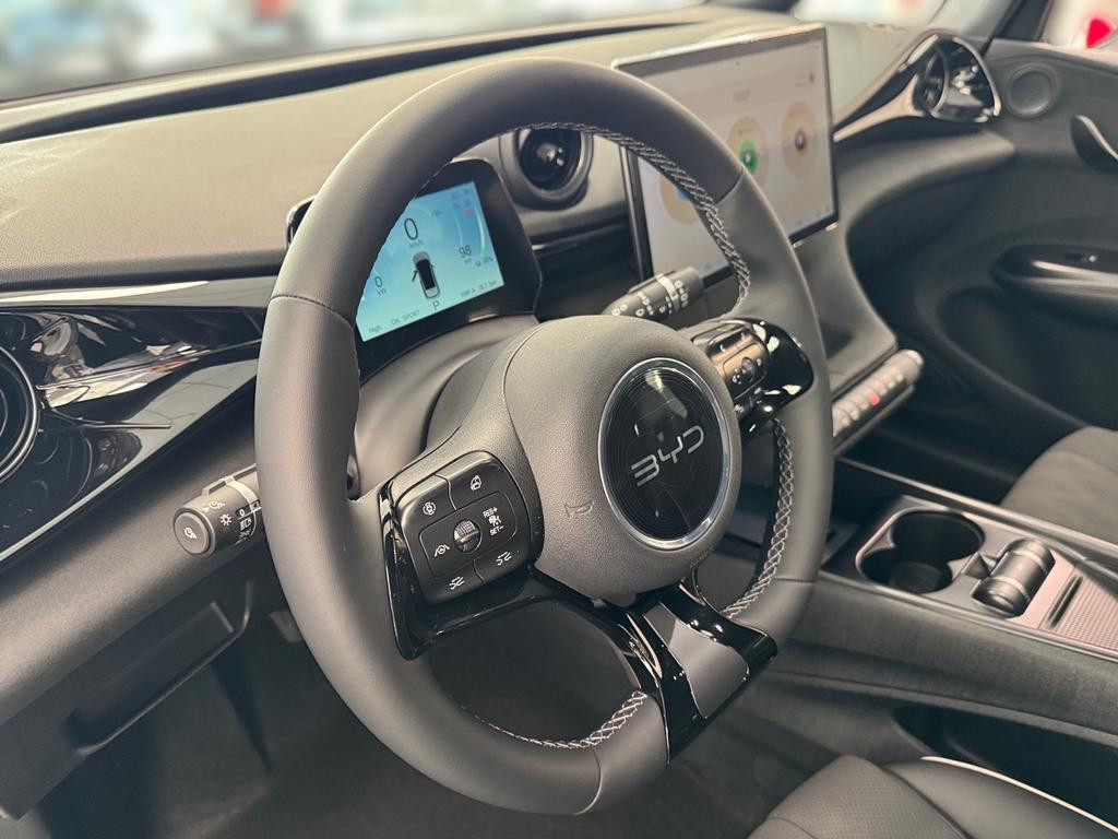 BYD Dolphin