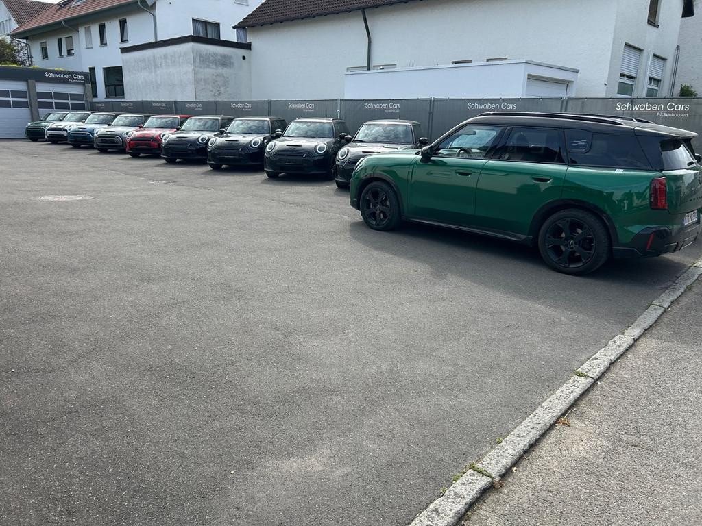 Mini Mini Electric