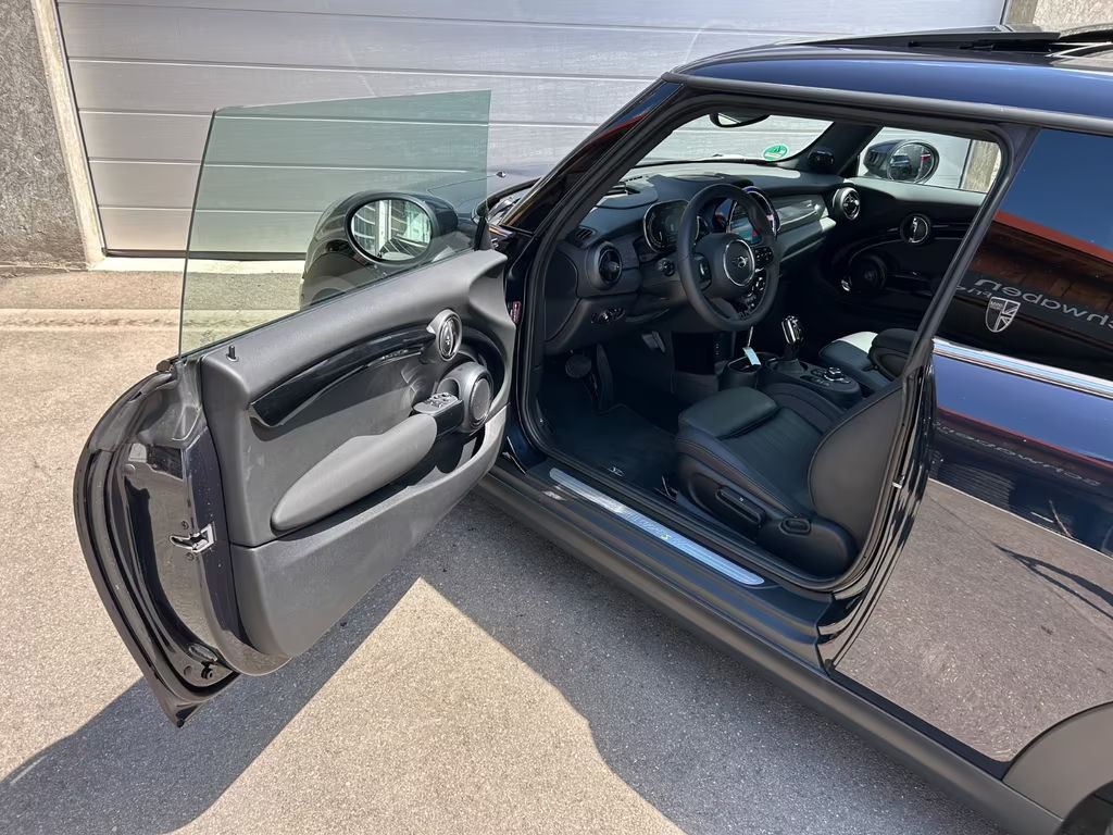 Mini Mini Electric