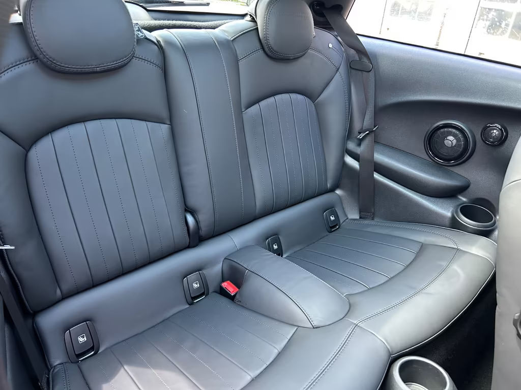Mini Mini Electric