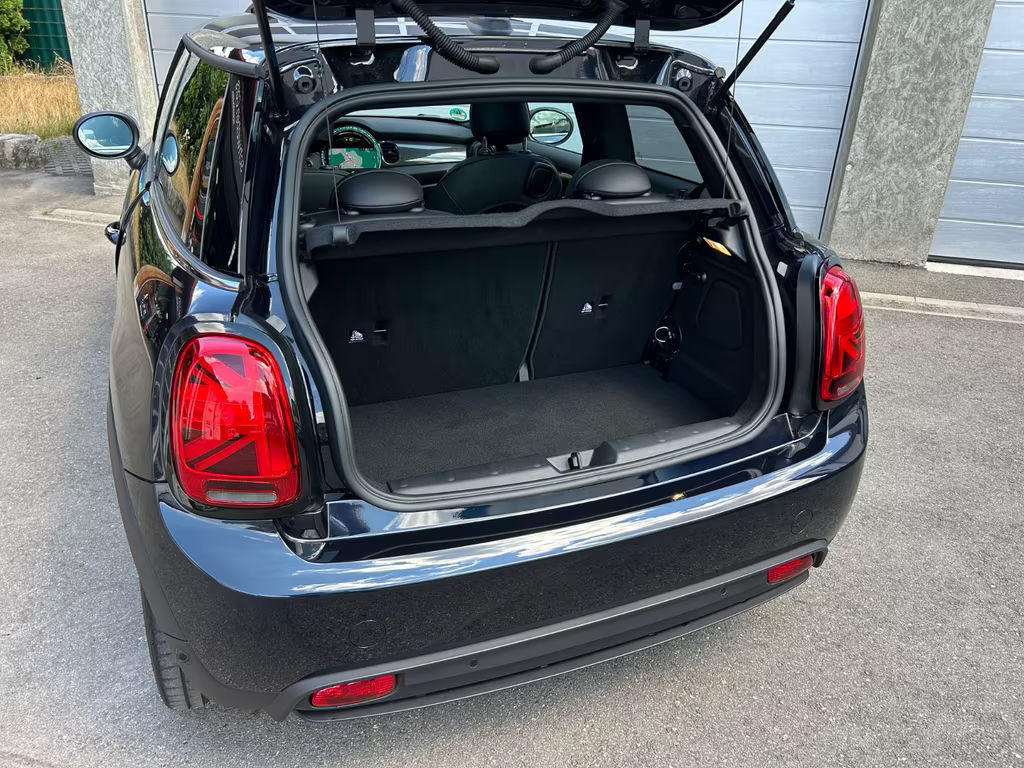 Mini Mini Electric