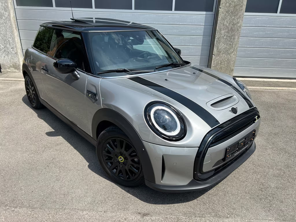 Mini Mini Electric
