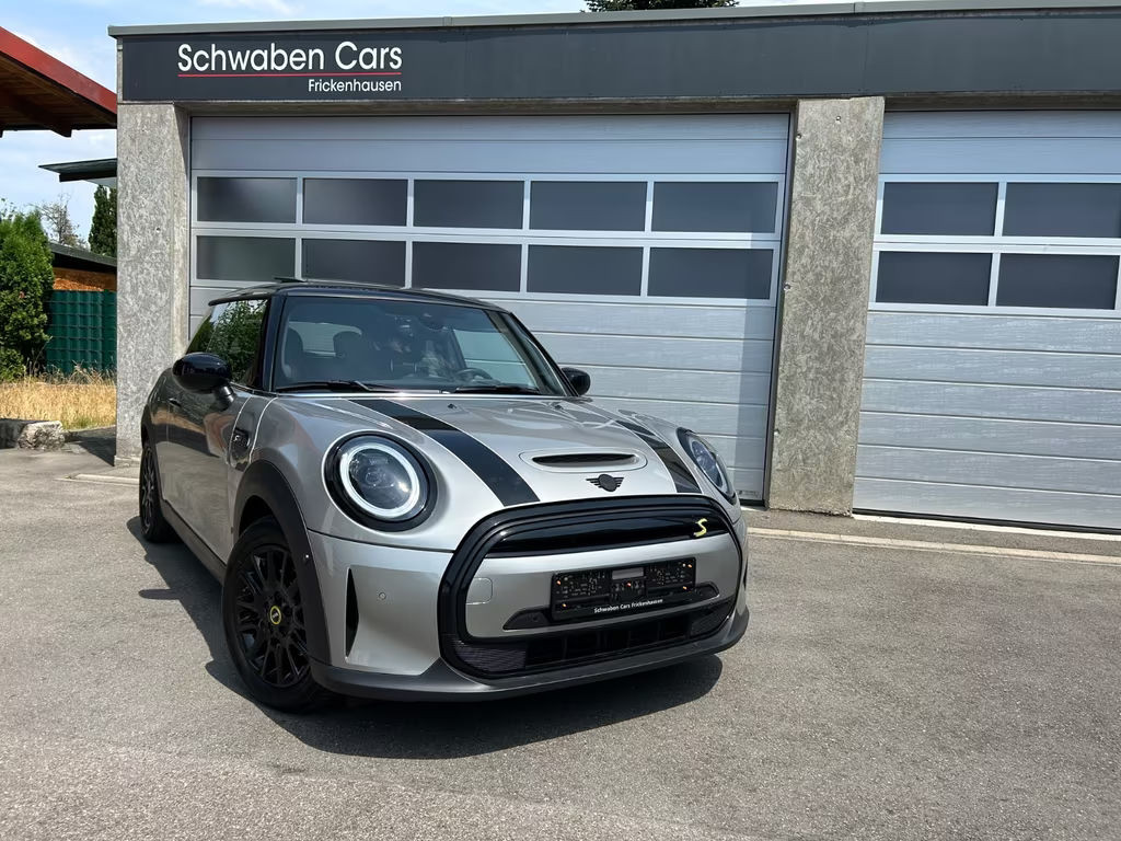 Mini Mini Electric