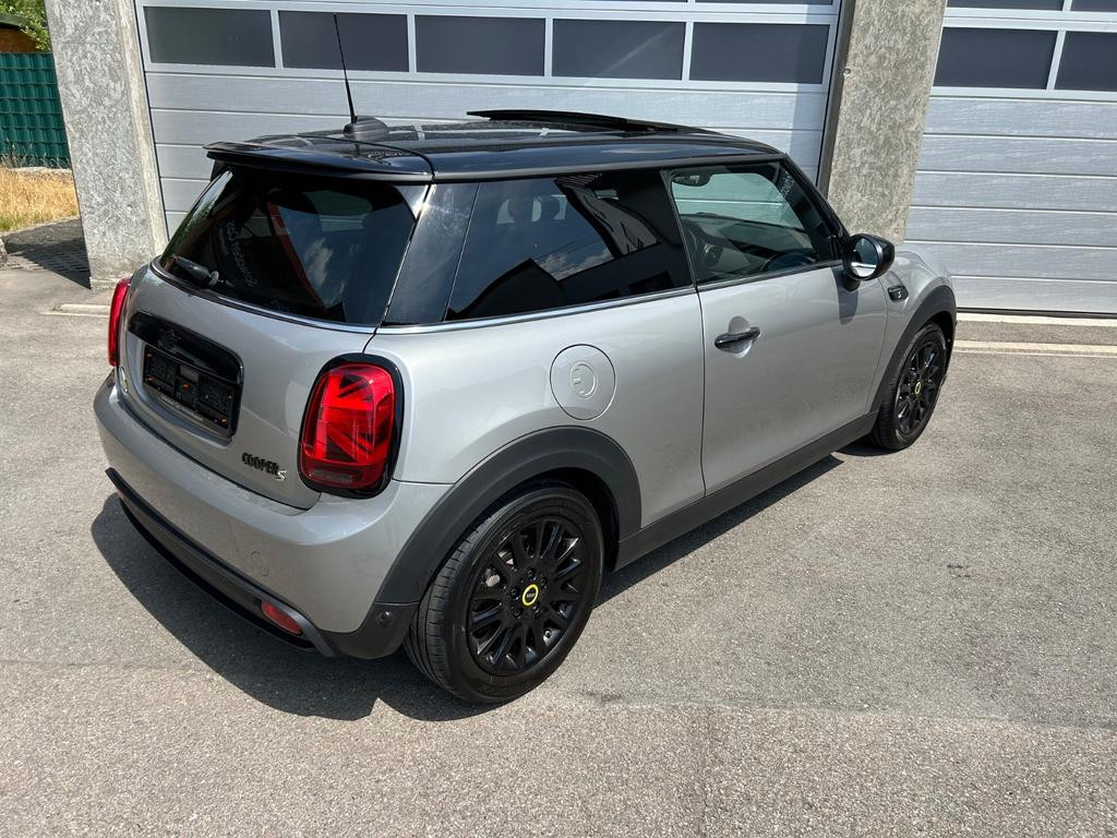 Mini Mini Electric
