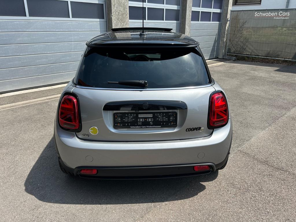 Mini Mini Electric