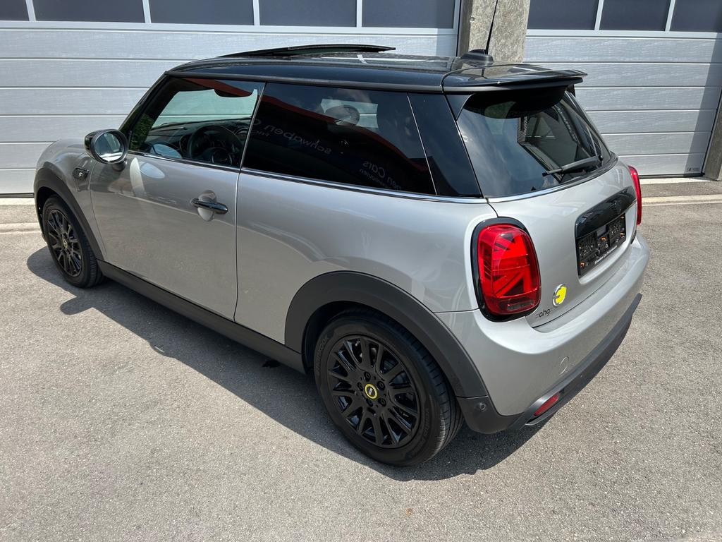 Mini Mini Electric