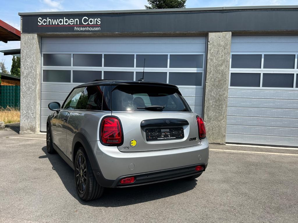 Mini Mini Electric
