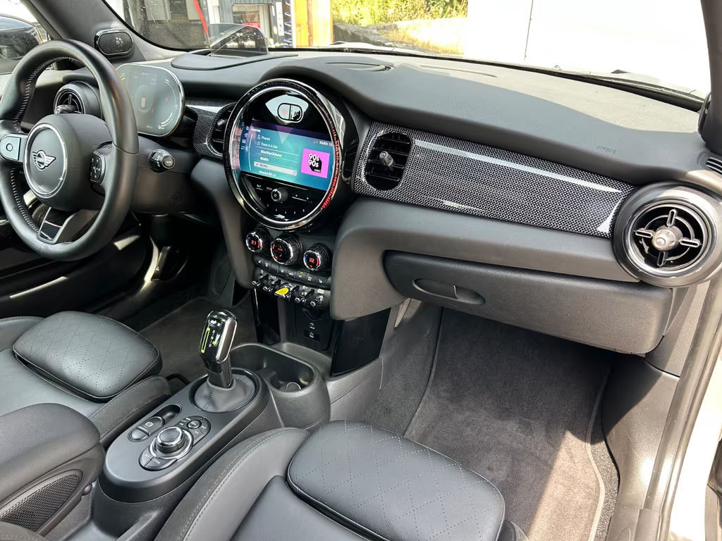 Mini Mini Electric