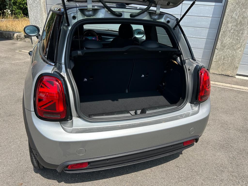 Mini Mini Electric