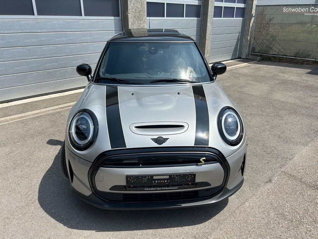 Mini Mini Electric