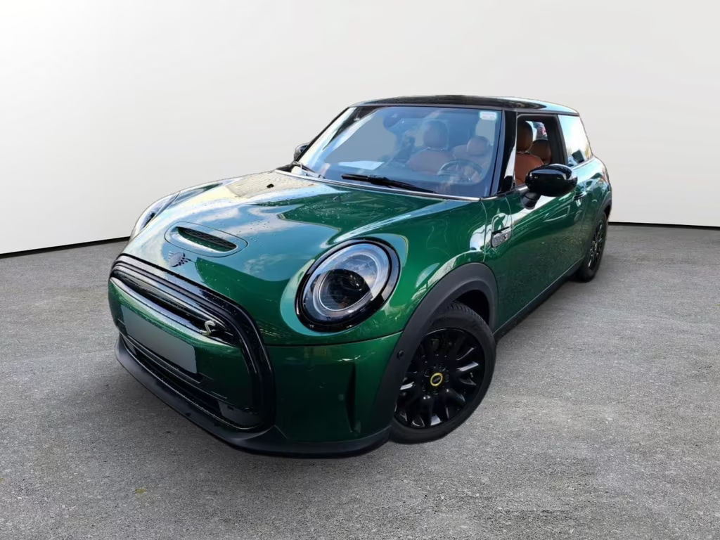 Mini Mini Electric