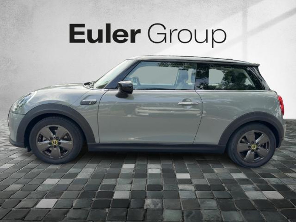 Mini Mini Electric