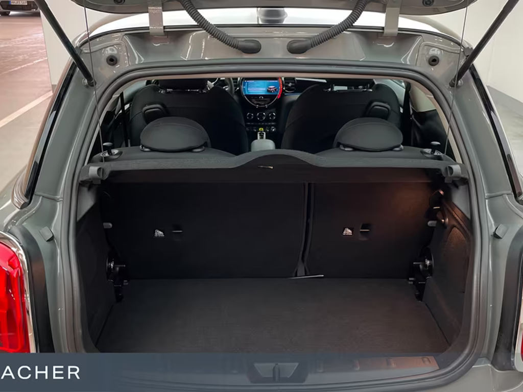 Mini Mini Electric