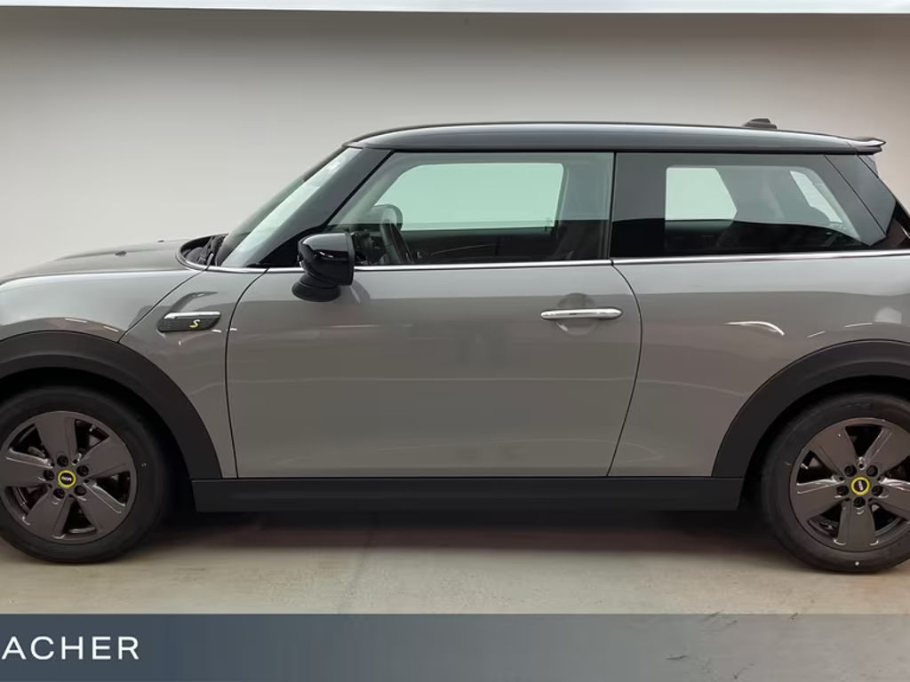 Mini Mini Electric