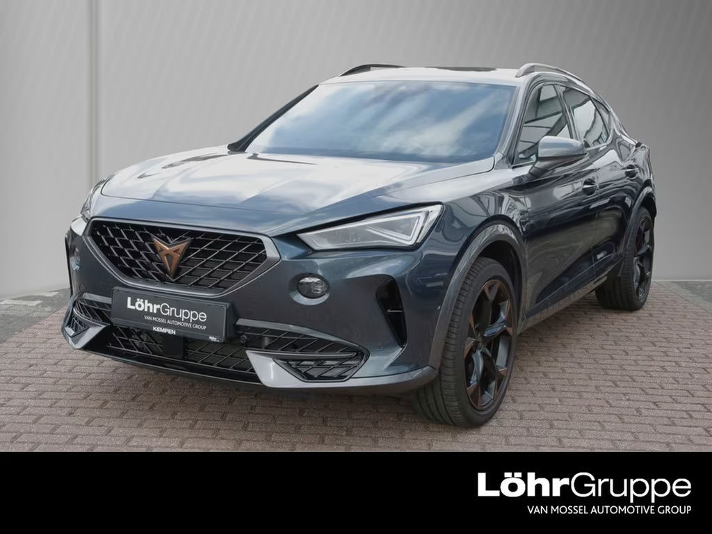 Cupra Formentor 2.0 TSI VZ