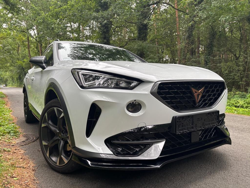 Cupra Formentor 4Drive 2.0 TSI DSG