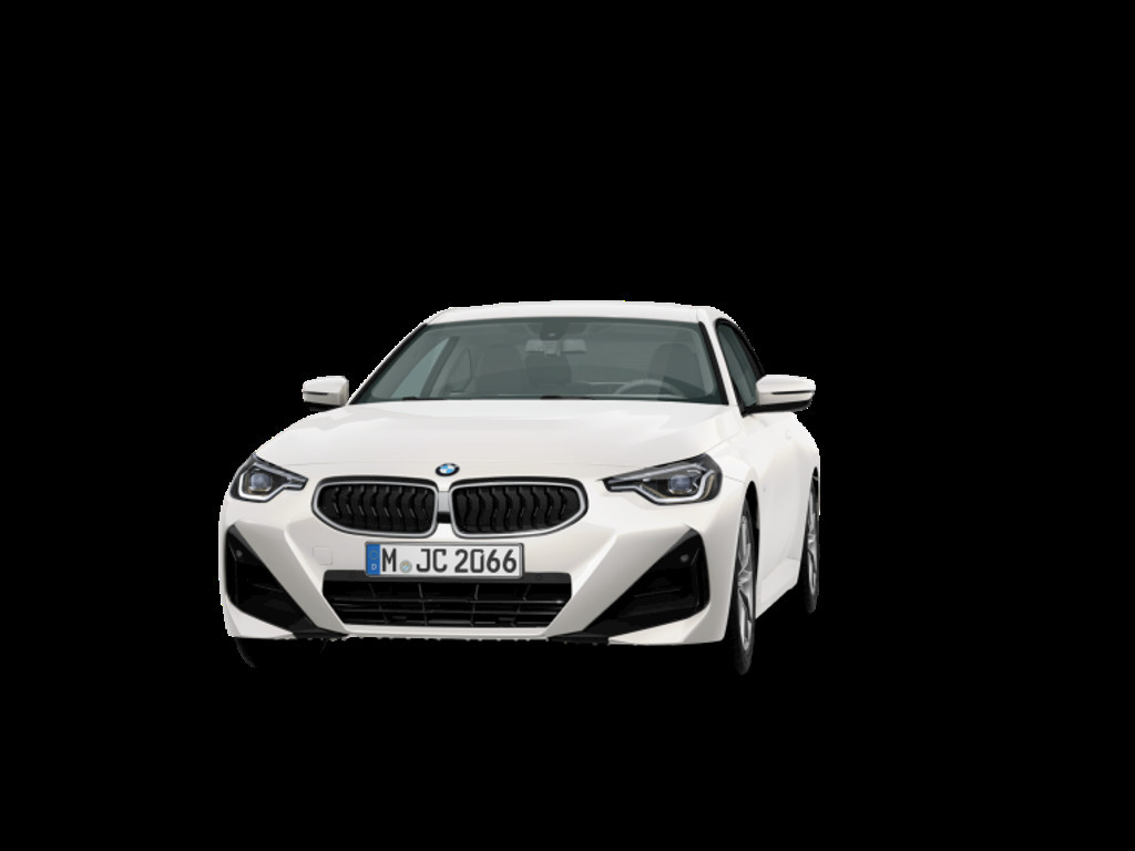 BMW 2 Serie 220 Coupé 220i