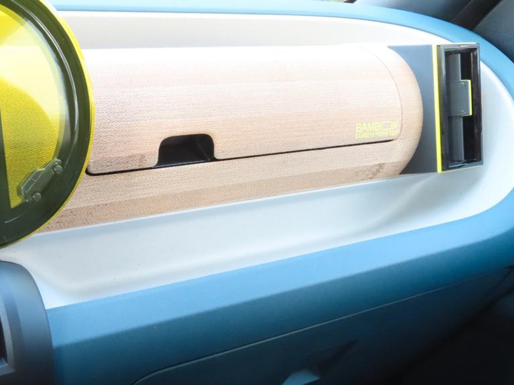 Fiat Grande Panda