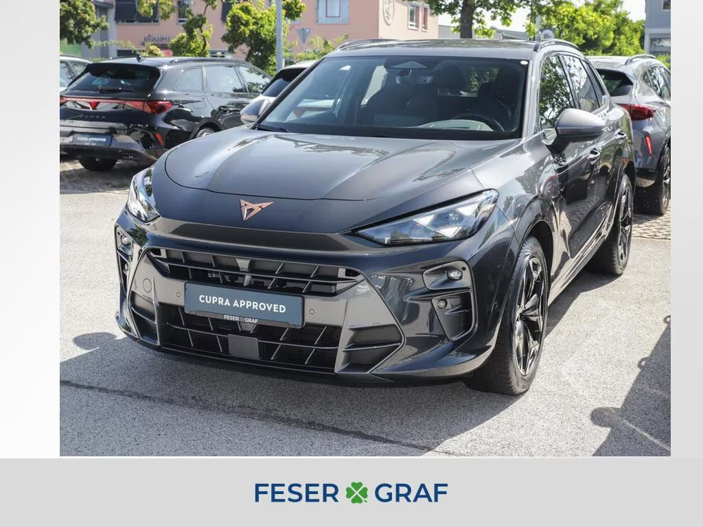 Cupra Terramar 2.0 TSI VZ