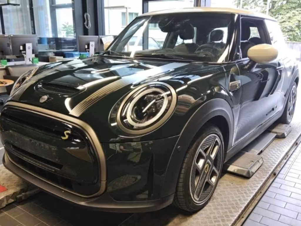 Mini Mini Electric