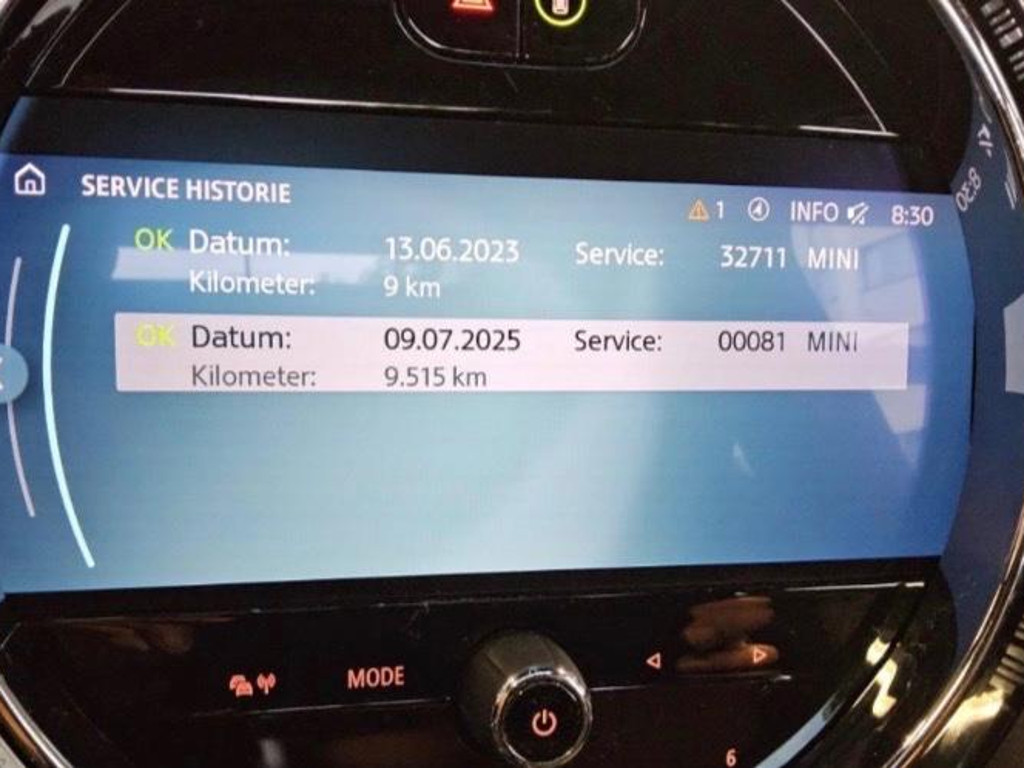Mini Mini Electric