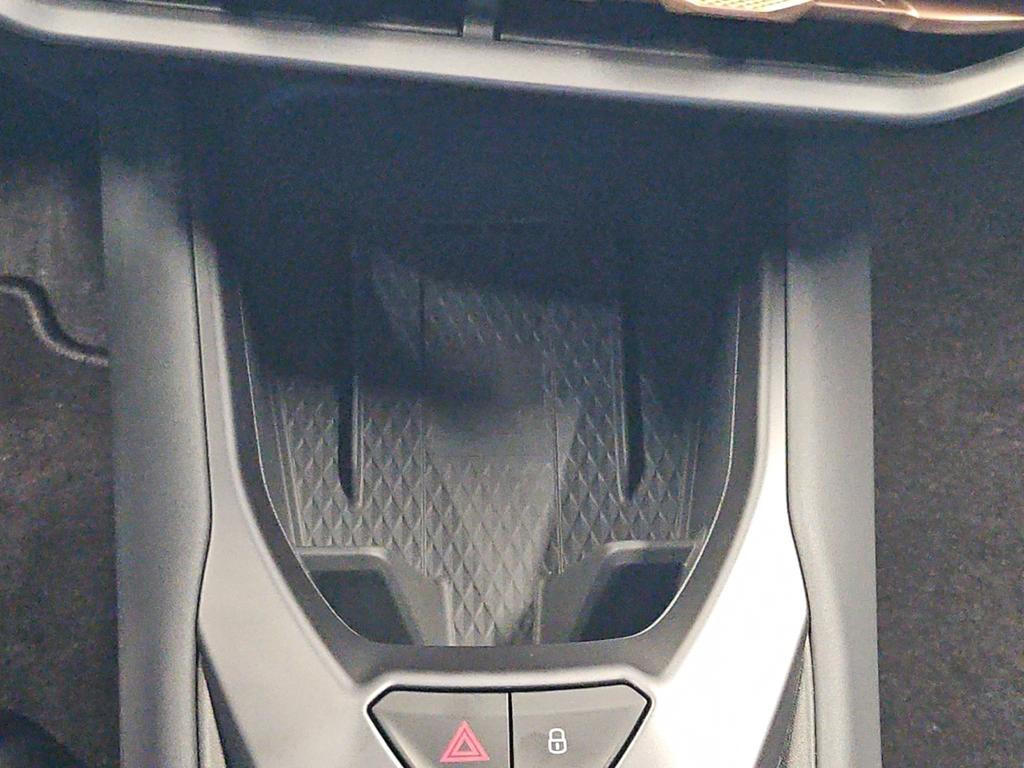 Cupra Raval