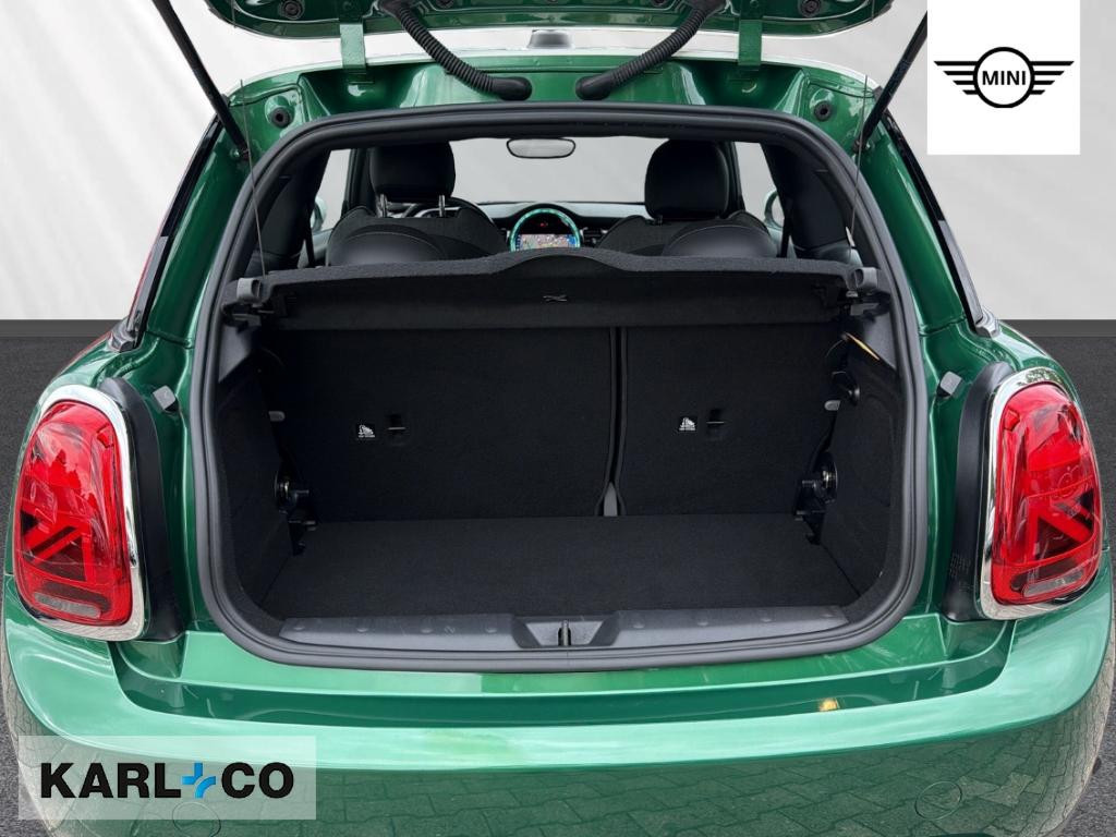 Mini Mini Electric