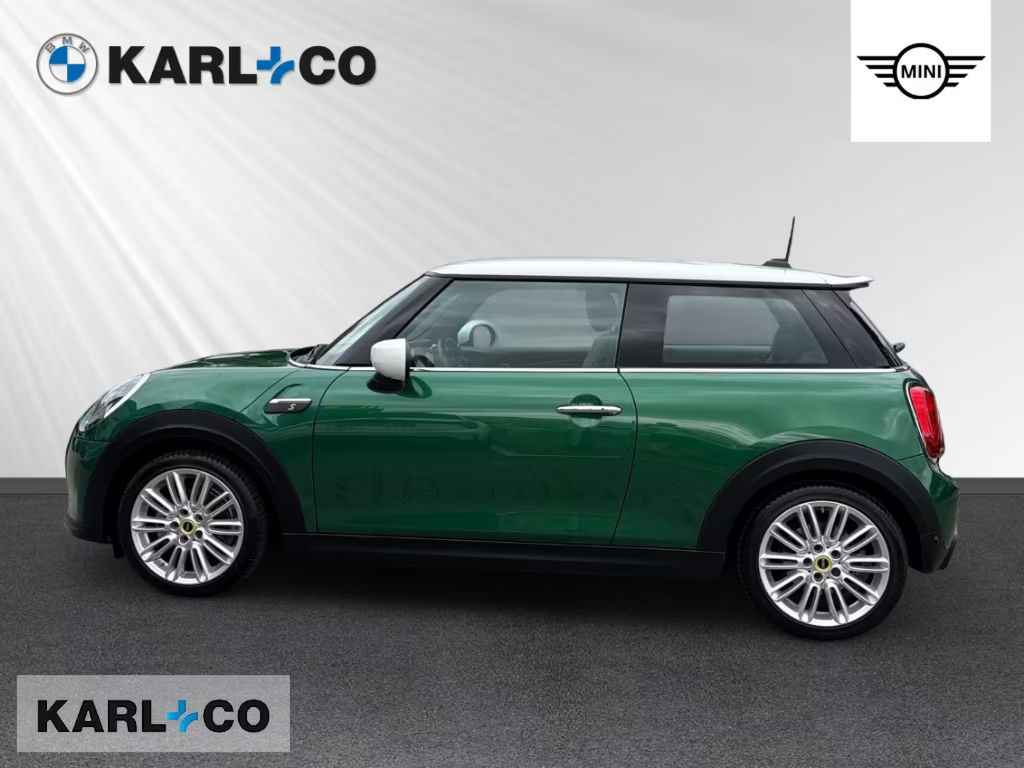 Mini Mini Electric