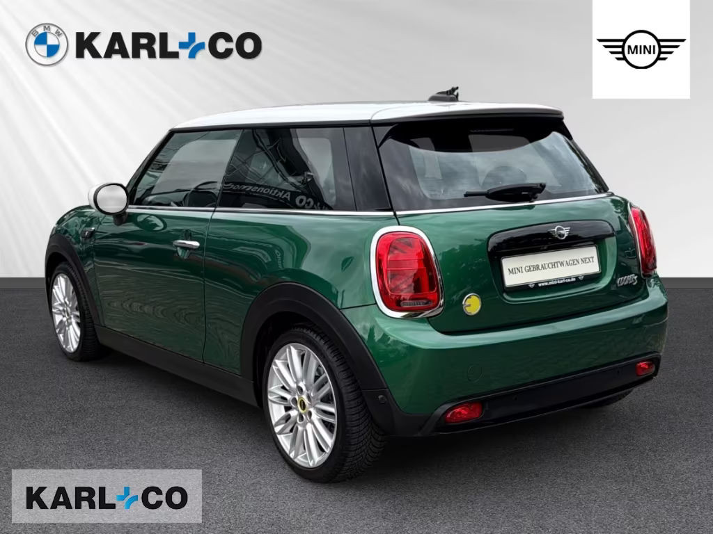 Mini Mini Electric
