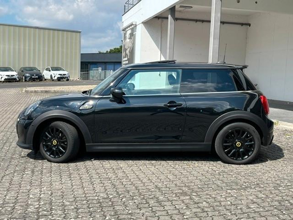 Mini Mini Electric