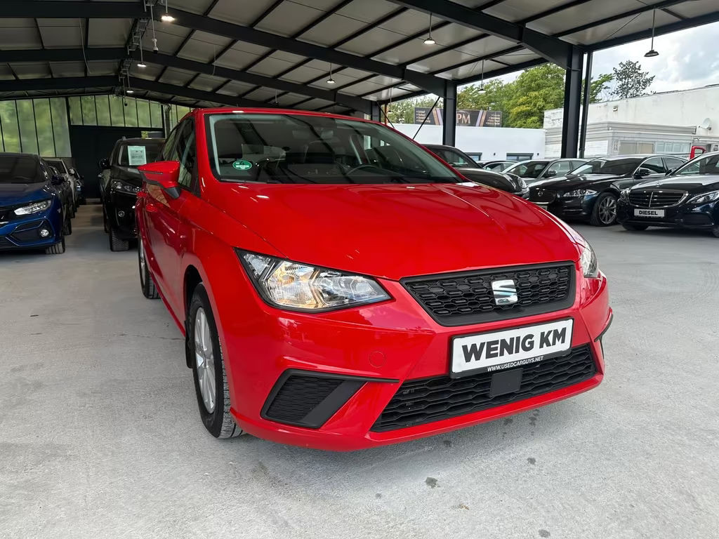 Seat Ibiza Style