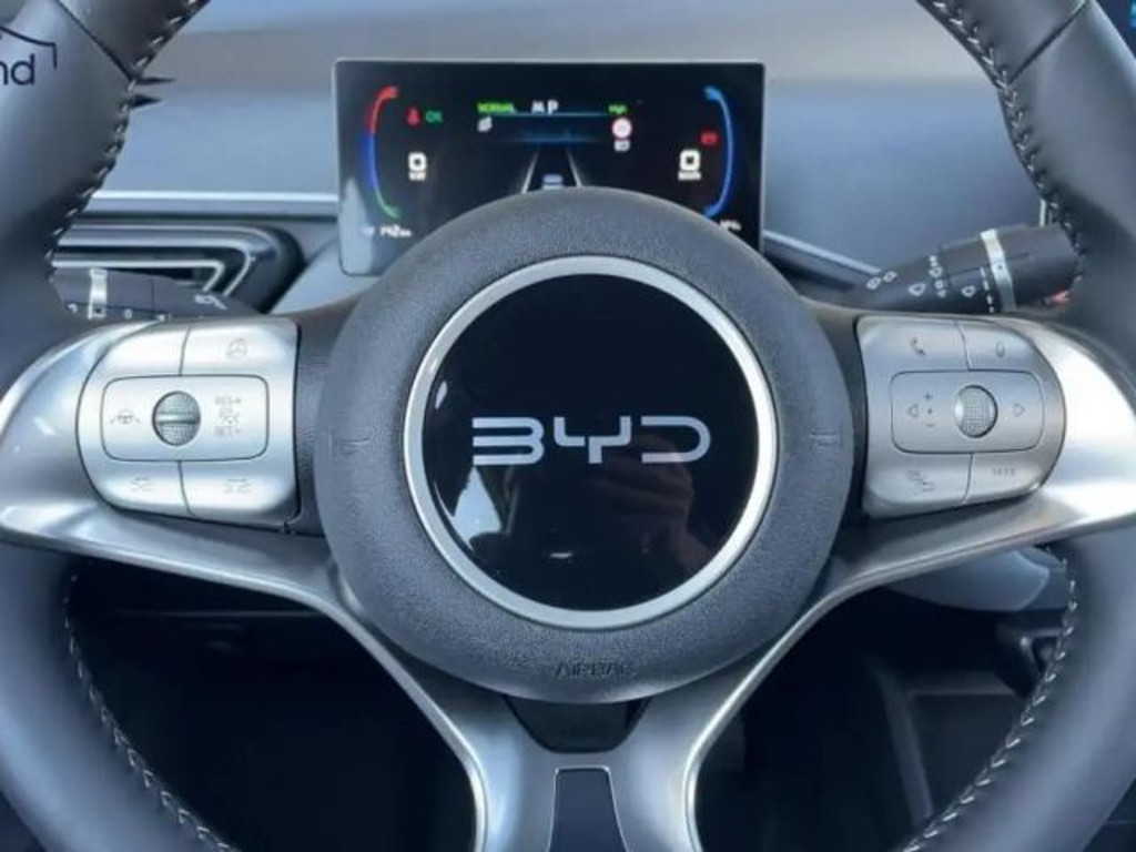 BYD Dolphin Surf
