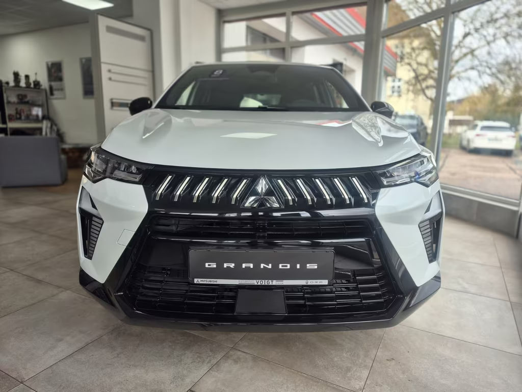 Mitsubishi Grandis PLUS