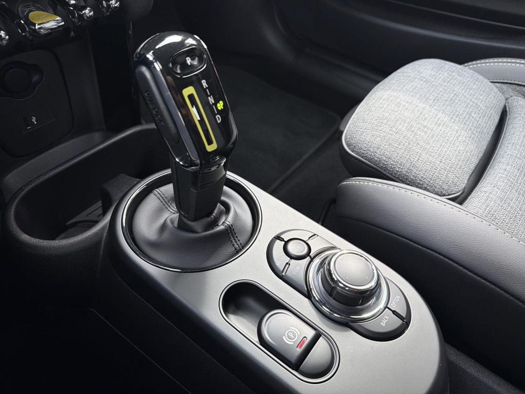 Mini Mini Electric