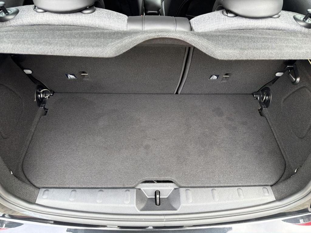 Mini Mini Electric