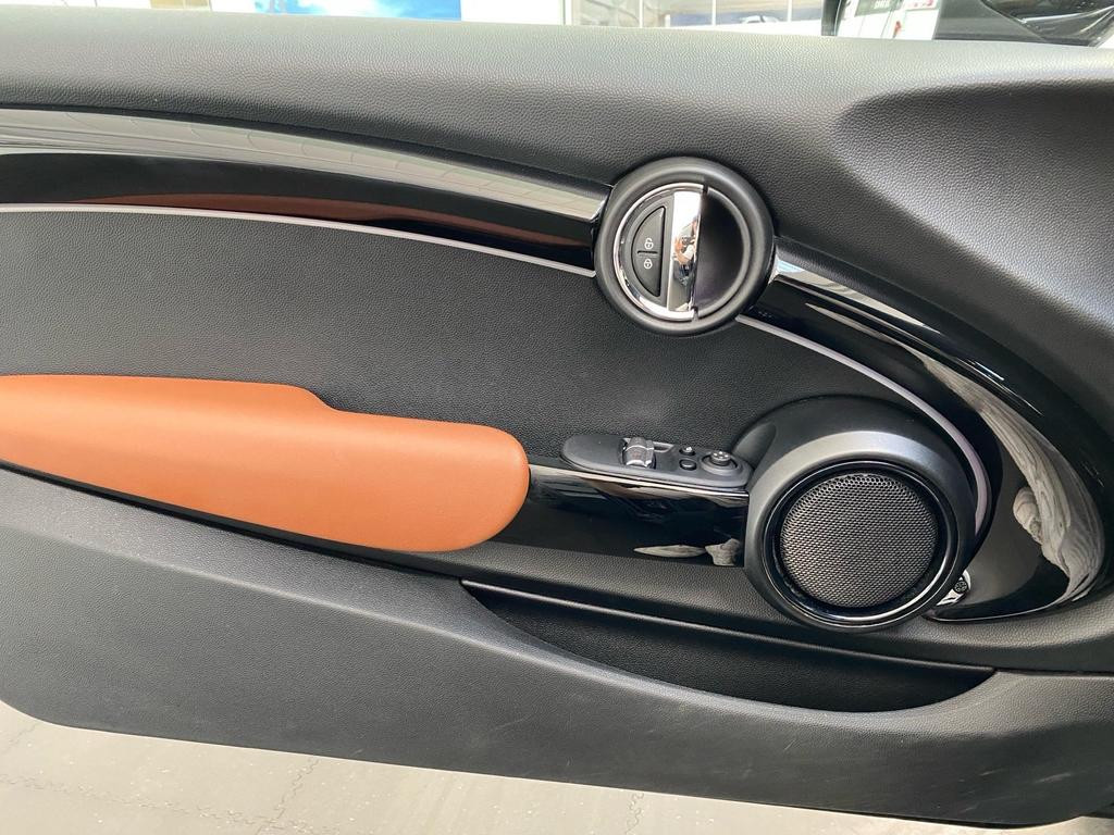 Mini Mini Electric