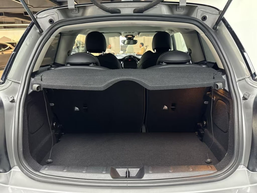 Mini Mini Electric