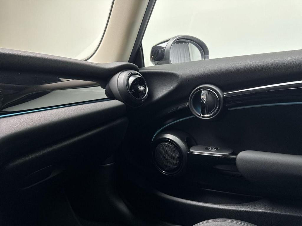 Mini Mini Electric
