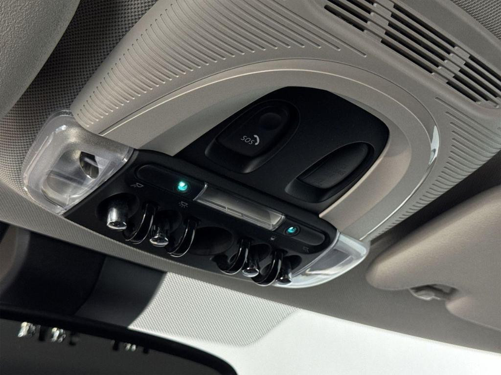 Mini Mini Electric