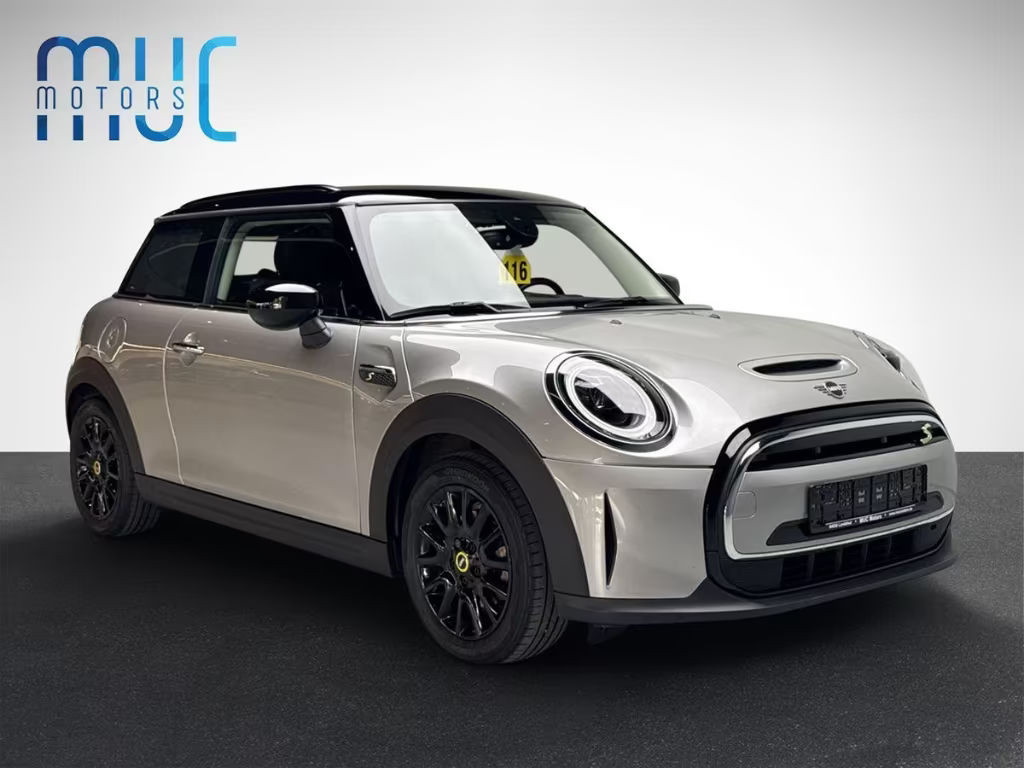 Mini Mini Electric