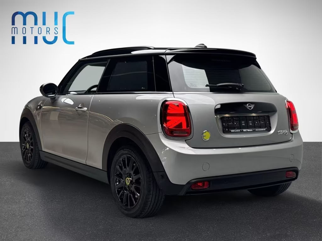 Mini Mini Electric