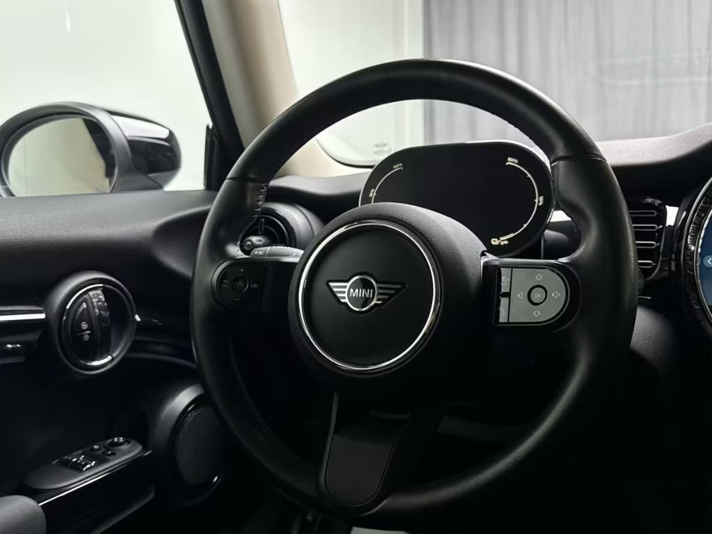 Mini Mini Electric