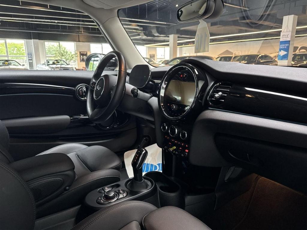 Mini Mini Electric