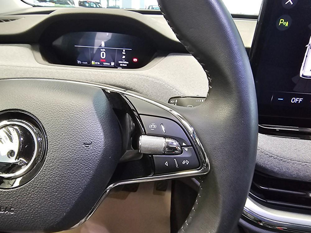 Skoda Enyaq iV